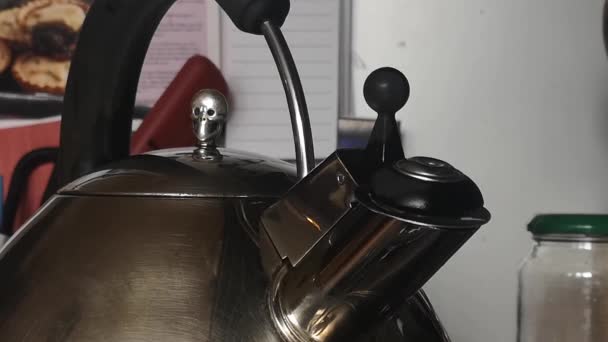 Real Time Whistling Kettle Skull Lid Boiling Steam Vapor Kitchen — Video Stock