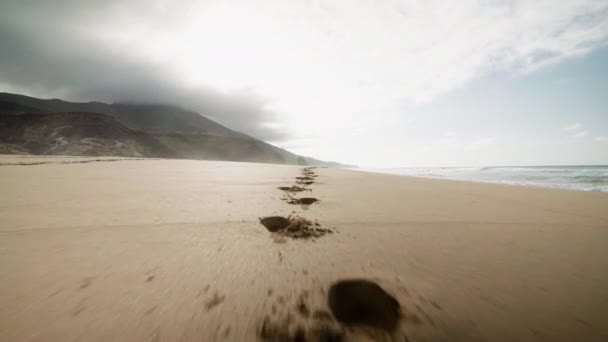 Fuerteventura Island Canary Spain Wild Lonely Tropical Golden Sand Beach — Stockvideo