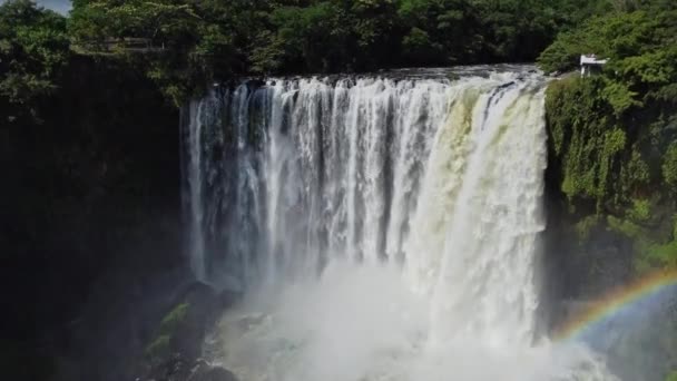 空中无人驾驶飞机从右边射击 其特点是瀑布 墨西哥丛林里的瀑布被各种各样的棕榈树包围着 最后形成了一个池塘 — 图库视频影像