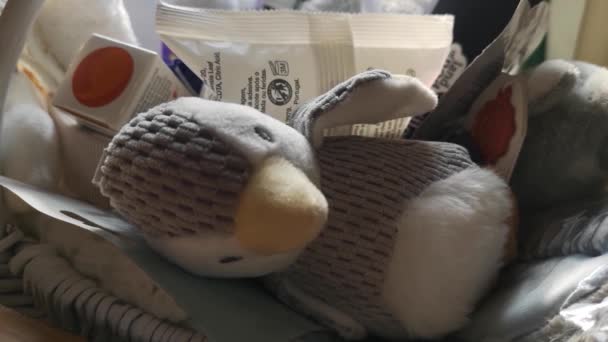 Mother Baby Shower Gift Basket Fluffy Plush Penguin Parenting Accessories — Vídeo de Stock