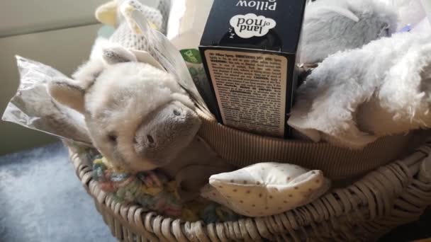 Mother Baby Shower Gift Basket Soft Fluffy Plush Toys Parenting — Vídeo de Stock