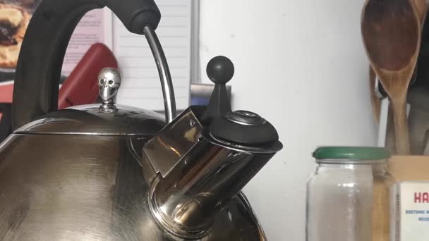 Real Time Whistling Kettle Skull Lid Appliance Boiling Steam Vapor — ストック動画