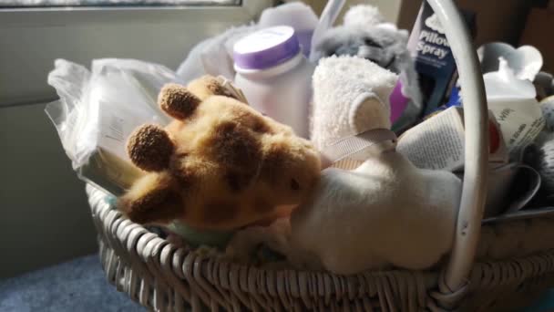 Maternity Baby Shower Gift Basket Cute Fluffy Plush Toys Parenting — Vídeo de Stock