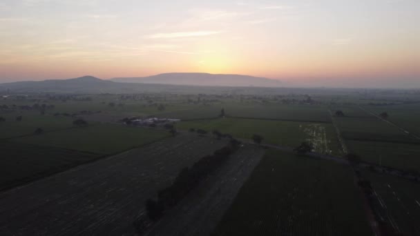 Aerial View View Sunset Terraced Rice Field Amanecer Ranch Drone — Vídeo de Stock