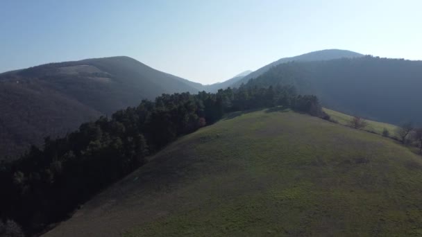 Drone Levanta Del Prado Del Campo Sobre Bosque Atardecer Principios — Vídeos de Stock