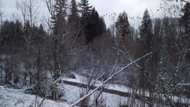Gri Kış Gününde Çıplak Ağaçların Karlı Manzarası Pan Sağ — Stok video