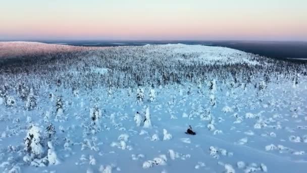 Flygfoto Över Snöskotertur Mitt Snöig Skog Soluppgång Lappland Cirkling Drönarskott — Stockvideo
