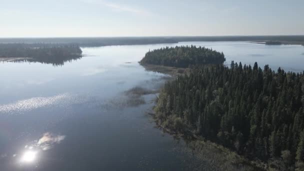 Aerial Moving Slowly Forward Calm Lake Surrounded Green Forest Reflections — Video Stock