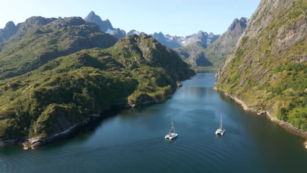 Luftaufnahme Von Segelbooten Einer Bergigen Meerenge Norwegen Zurückziehen Drohnenschuss — Stockvideo