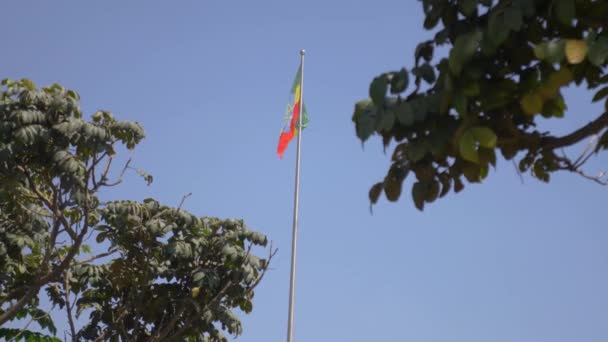 Ethiopian Flag Friendship Park Addis Ababa Middle Trees Branches — Stockvideo