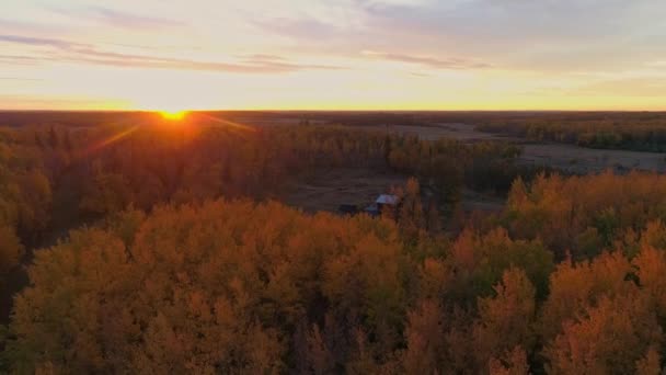 Autumn Aerial Flight Rural Canadian Farmland Sun Breaking Horizon — Video