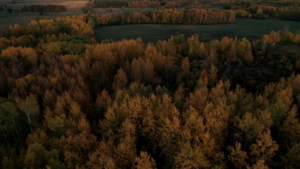 日落时空中俯瞰加拿大农村农田的秋季圆形景观 — 图库视频影像
