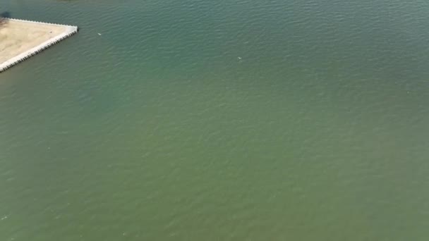 Widok Góry Drona Bezpośrednio Nad Great Bay Bay Shore Słoneczny — Wideo stockowe