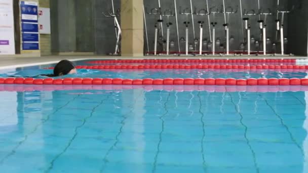 年轻的女运动员独自潜入游泳池游泳 蛙泳慢动作侧视 健身水体操健康运动 — 图库视频影像
