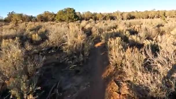 Shadow Person Riding Desert Bicycle Trail Sunny Evening Pov — Vídeos de Stock
