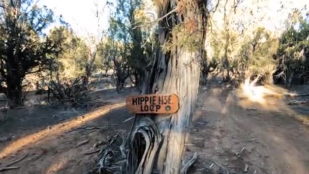 Hippiehse Loop Trail Desert Bushy Area Cyclist Looking Pov Shot — Vídeos de Stock