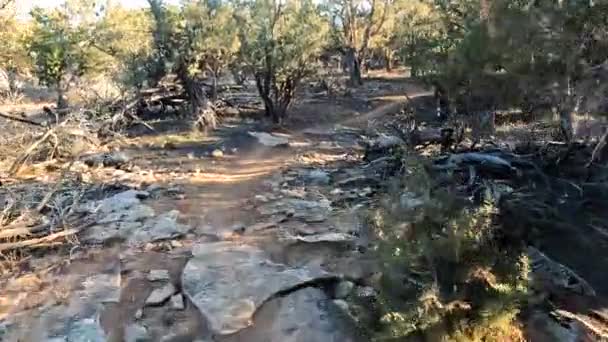 Riding Carefully Rocky Desert Trail Sunny Day Pov Bicycle Shot — Stock Video