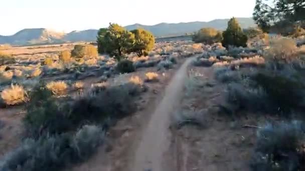 在阳光明媚的傍晚 在沙漠自行车道上疾驰而下 — 图库视频影像