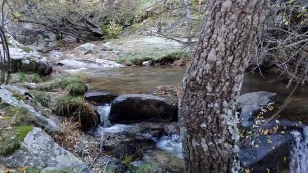 Panning Shot Course River Mountains Small Affluent Water Shallow Beaituful — 비디오