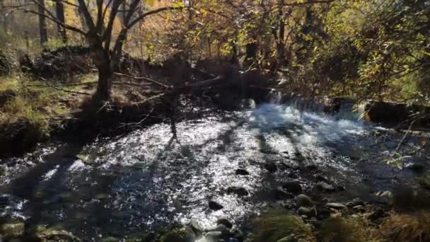 Jarama Folyó Spanyolországban Kezdődik Sekély Víz Kis Mandmade Vízesés Előtt — Stock videók