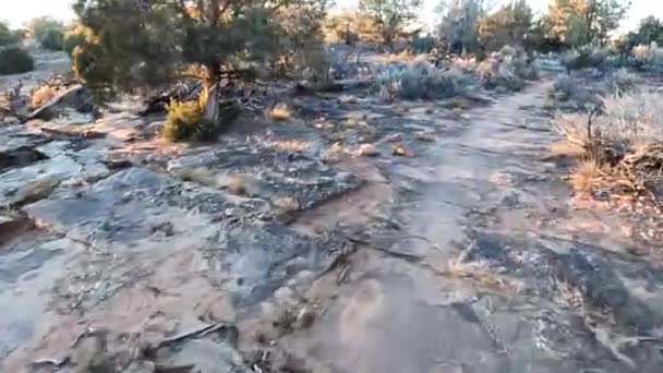 Rocky Desert Biking Trail Sunny Evening Time Pov Drive View — Vídeos de Stock