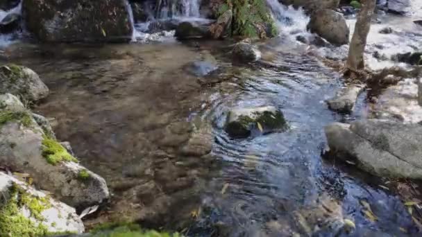 River Affluent Shallow Water Splashing Stream Some Rocks Creating Small — Vídeos de Stock