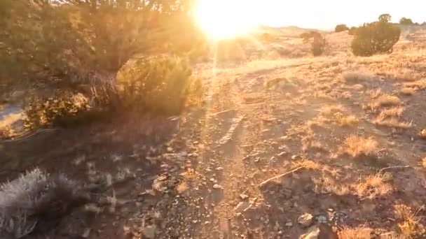 Riding Rocky Desert Bike Trail Golden Sunset Pov — Stok video
