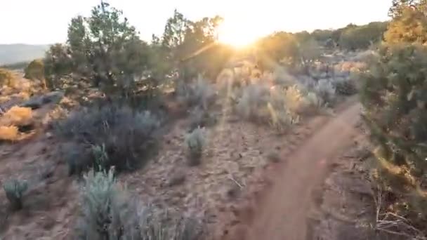 Avoiding Bushes While Riding Desert Trail Sunny Sunset Pov Ride — Stock video