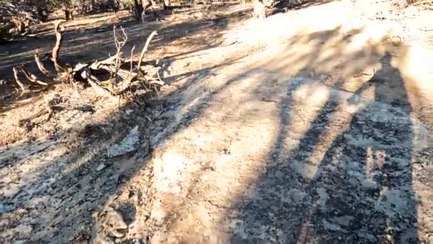 Cyclist Checks His Wheel Looks Upward Bushy Desert Area Trail — стоковое видео