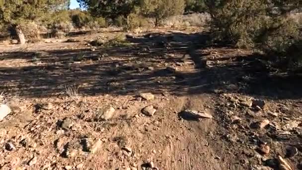 Αργά Ιππασία Βραχώδη Ανώμαλο Μονοπάτι Της Ερήμου Την Ηλιόλουστη Μέρα — Αρχείο Βίντεο