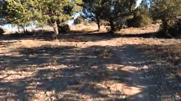 Cyclist Riding Casually Winding Desert Trail Pov Shot — стоковое видео