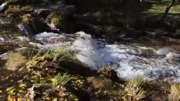 River Affluent Shallow Water Splashing Stream Some Rocks Creating Small — Video