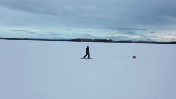 Lady Walks Her Dog Late Evening Winter Alaska Brown Lake — стокове відео
