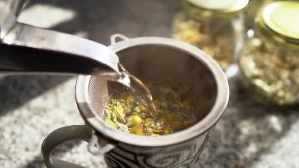 Preparação Chá Quente Camomila Boldo — Vídeo de Stock
