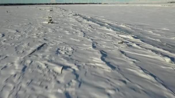 Kışın Kenai Nehri Üzerinde Uçan Hava Manzarası Uzakta Redoubt Aşçı — Stok video