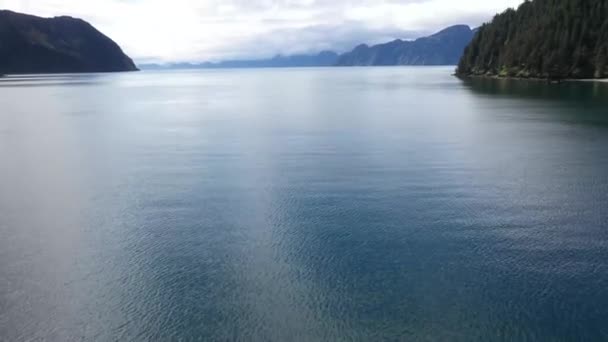 Seward Alaska Nın Hemen Dışındaki Diriliş Körfezi Nde Orca Adası — Stok video