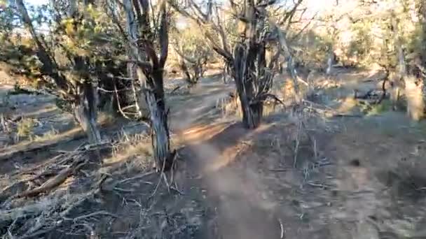 Cyclist Speeding Winding Dangerous Bushy Desert Trail Pov Shot — Vídeos de Stock