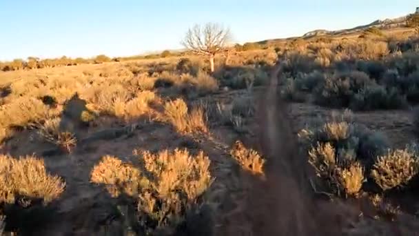 Skugga Ryttare Kör Genom Öken Slätter Med Mesa Verde National — Stockvideo