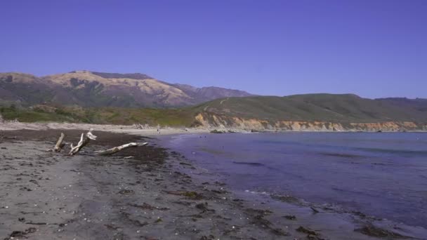 Gimbal Shot Someone Walking Beach Shore Big Sur California — Vídeo de Stock