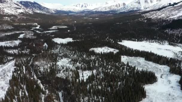 Aerial View Mountains Cooper Landing Alaska Part Resurrection Trail Unique — Stock video