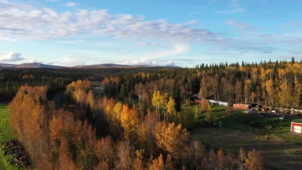 Obdivovat Ohromující Podzimní Barvy Blízkosti University Aljaška Fairbanks Září — Stock video