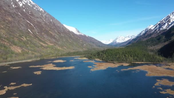 Aerial View Tern Lake Cooper Landing Alaska Popular Place View — Stock Video