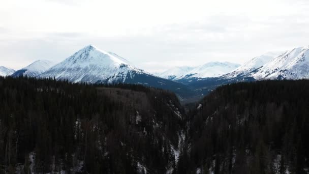 Cooper Landing Alaska Yakınlarındaki Dağların Hava Manzarası Burası Diriliş Yolu — Stok video