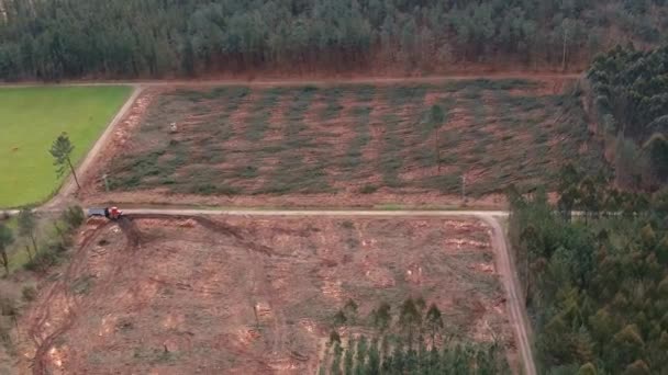 Aerial Plot Land Felled Pine Trees Spain Dolly Back — Stock Video