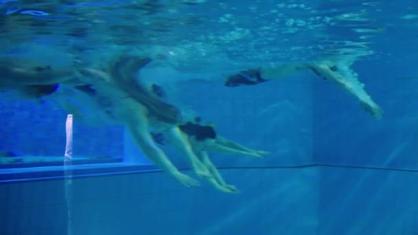 男性と女性の若い白人の友人のグループは 夏休み中に楽しい水泳プールで一緒に水中で泳いだり泳いだりします — ストック動画