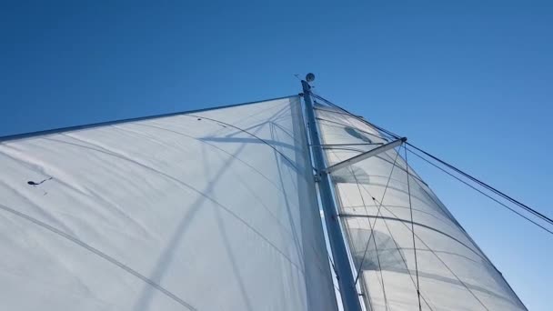 Vertical View Catamaran Mast White Sail Sunny Weather Blue Sky — Stock Video