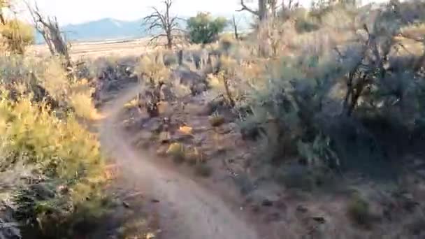 Winding Desert Biking Road Sunny Day Pov Riding View — стоковое видео