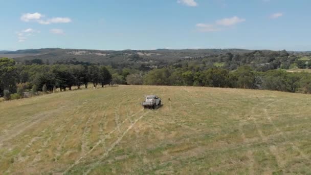 Aerial Shot Farmer Truck Driving Paddocks Dog Chasing Car — Stockvideo