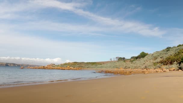 Calm Coastal Bay Low Lying Shrubs Victorian Coastline — Stock Video