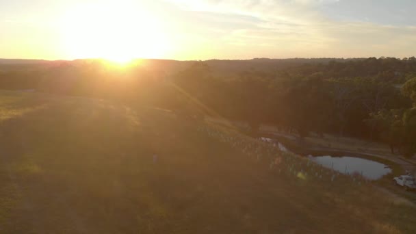 Aerial Shot Moving Forward Farm Paddock Dam Morning Sunrise — Vídeo de stock